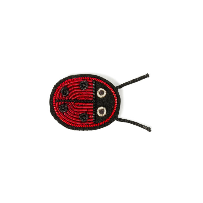 Ladybird