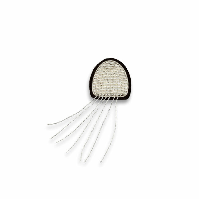 Jellyfish